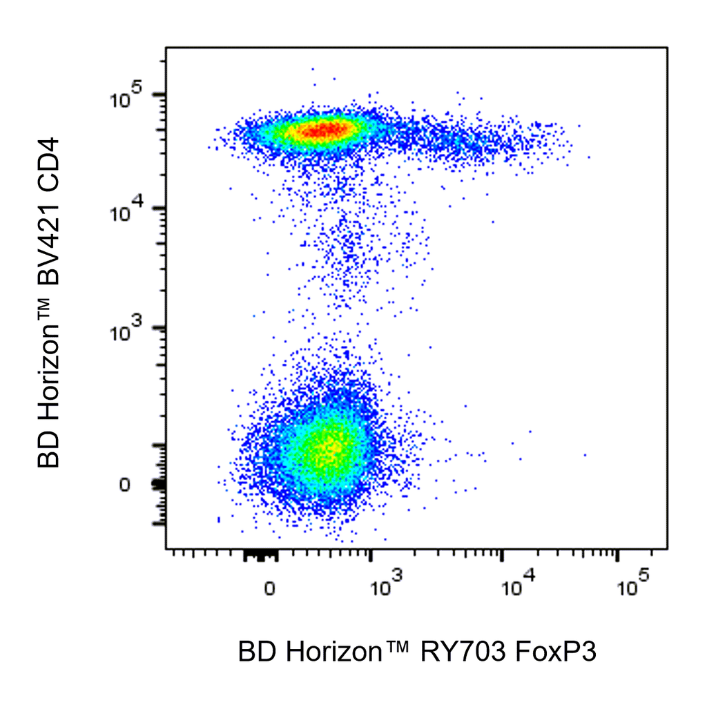 BD RY703 Mouse Anti-Human FoxP3