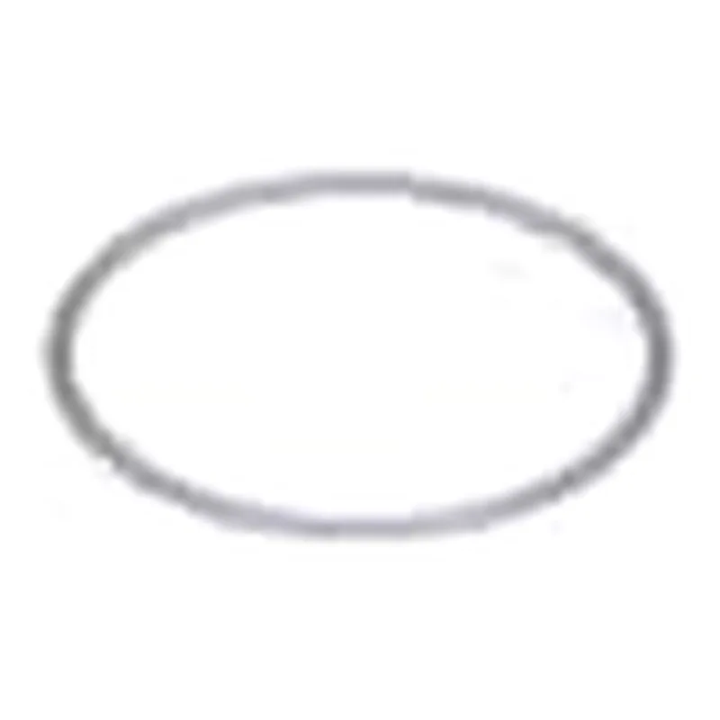 Waters O-Ring, FKM, 28 x 1 mm