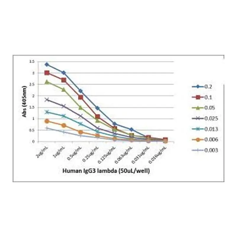 Thermo Fisher Scientific Rabbit anti-Human Ig (Light chain) Recombinant Secondary Antibody