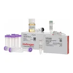 Thermo Fisher Scientific GeneArt Gibson Assembly HiFi Cloning Kit, chemically competent cells