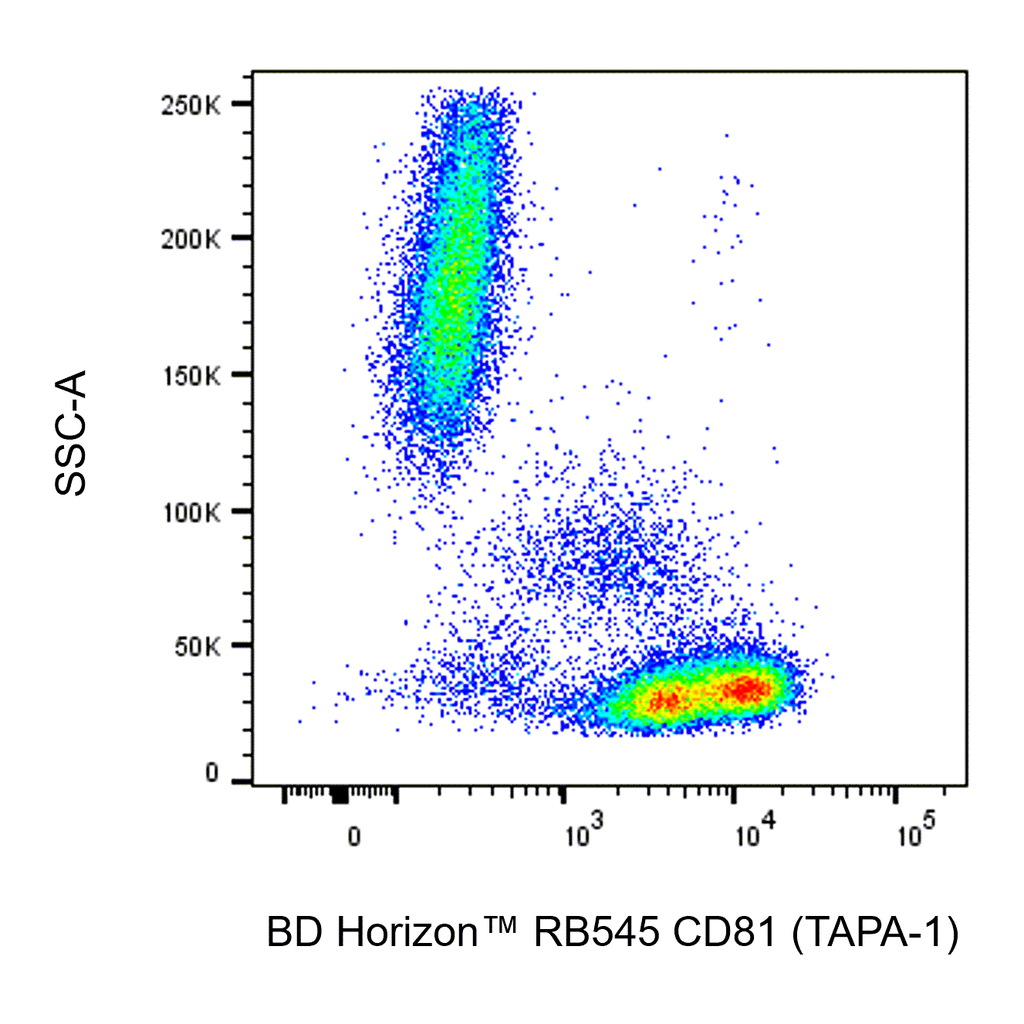 BD RB545 Mouse Anti-Human CD81 (TAPA-1)