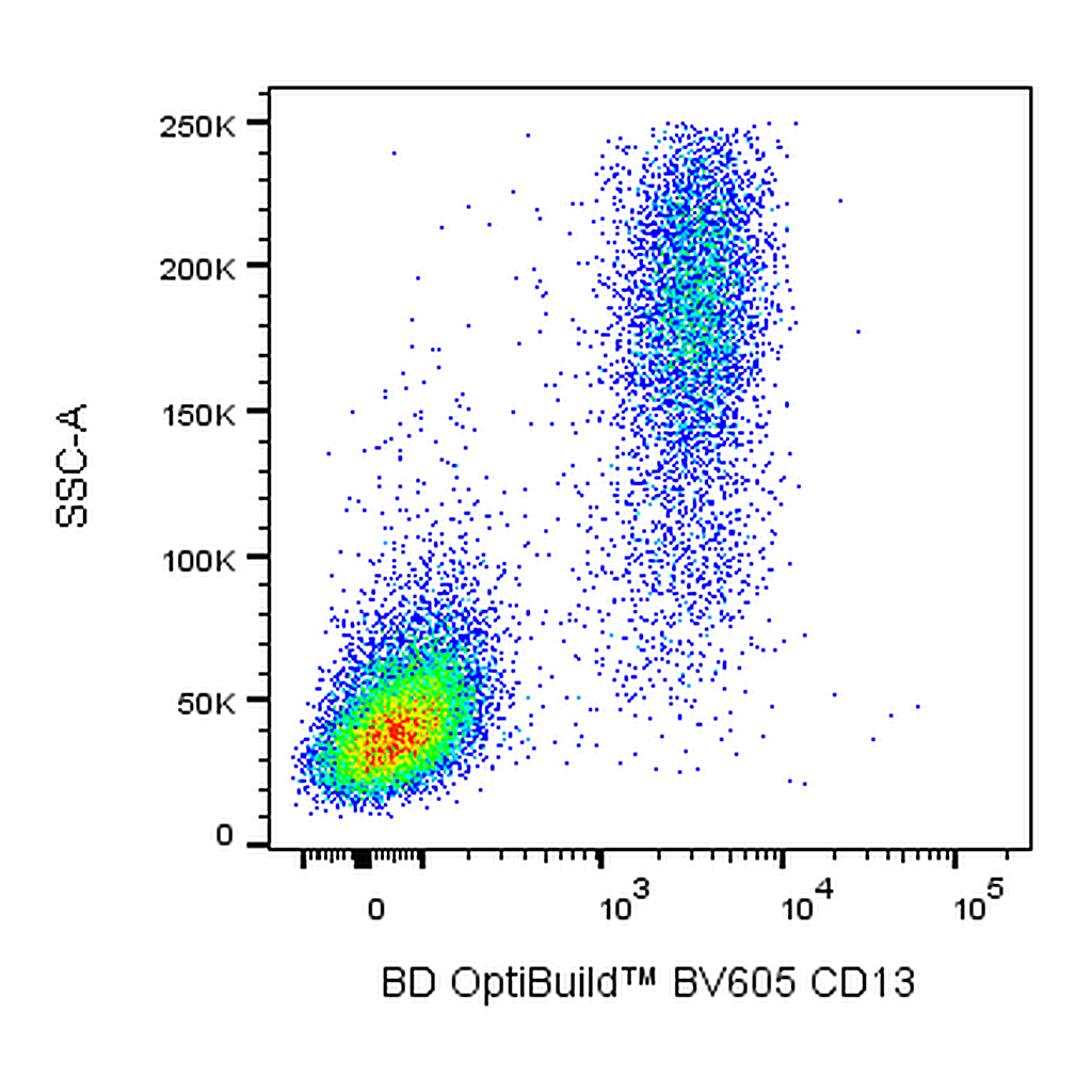 BD BV605 Mouse Anti-Human CD13