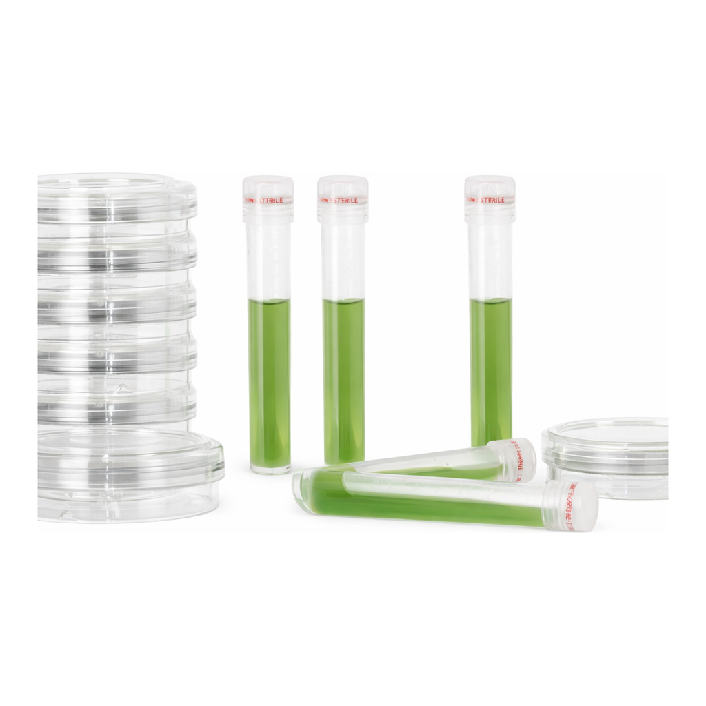 Merck Swabs and SwabChecks
