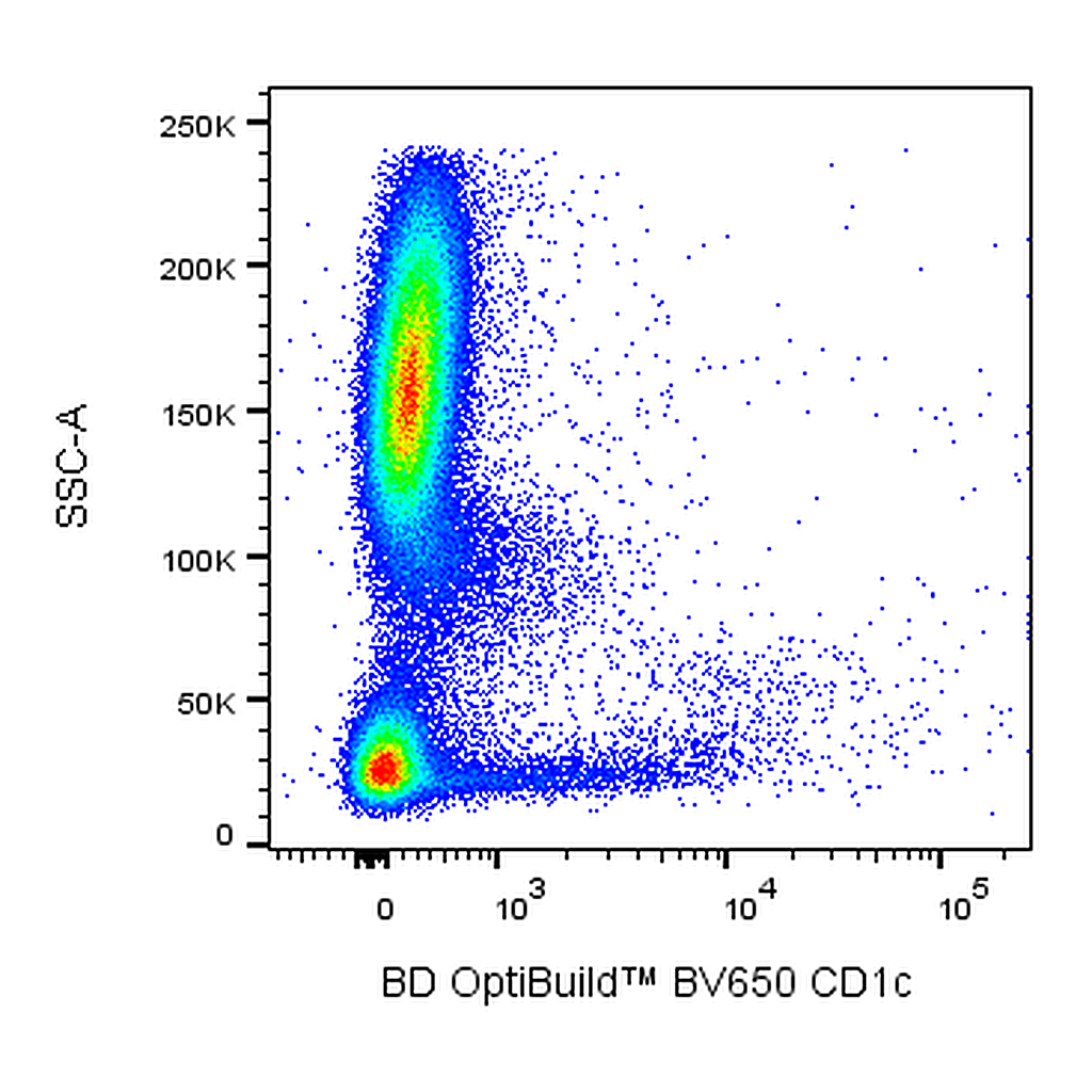 BD BV650 Mouse Anti-Human CD1c