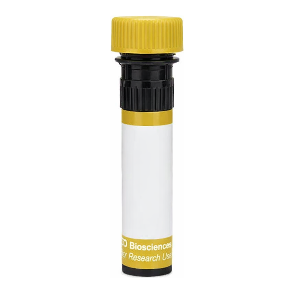 BD RY586 Mouse Anti-Mouse β2-Microglobulin [b,c]