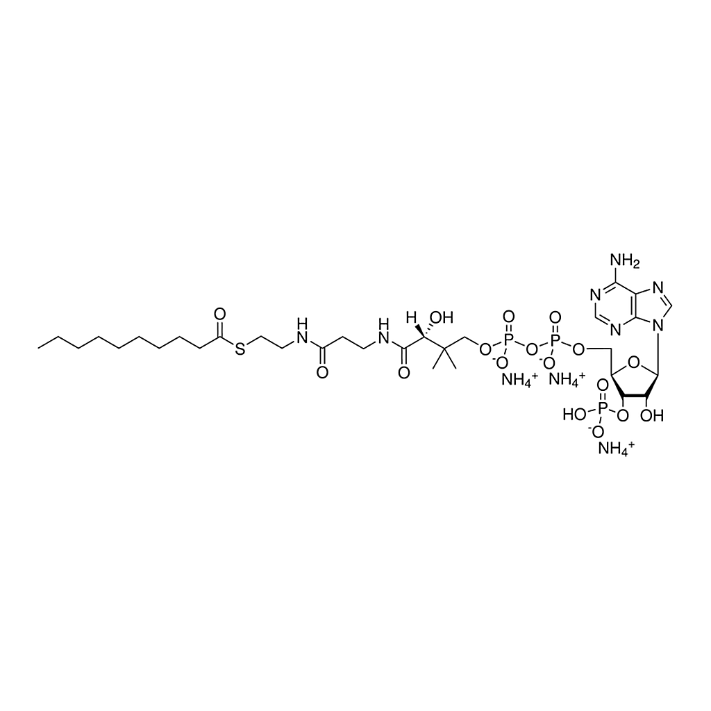 Merck 10:0 Coenzyme A
