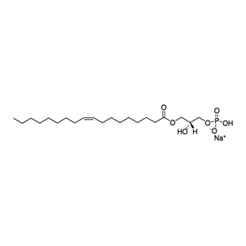 Merck 18:1 LYSO PA