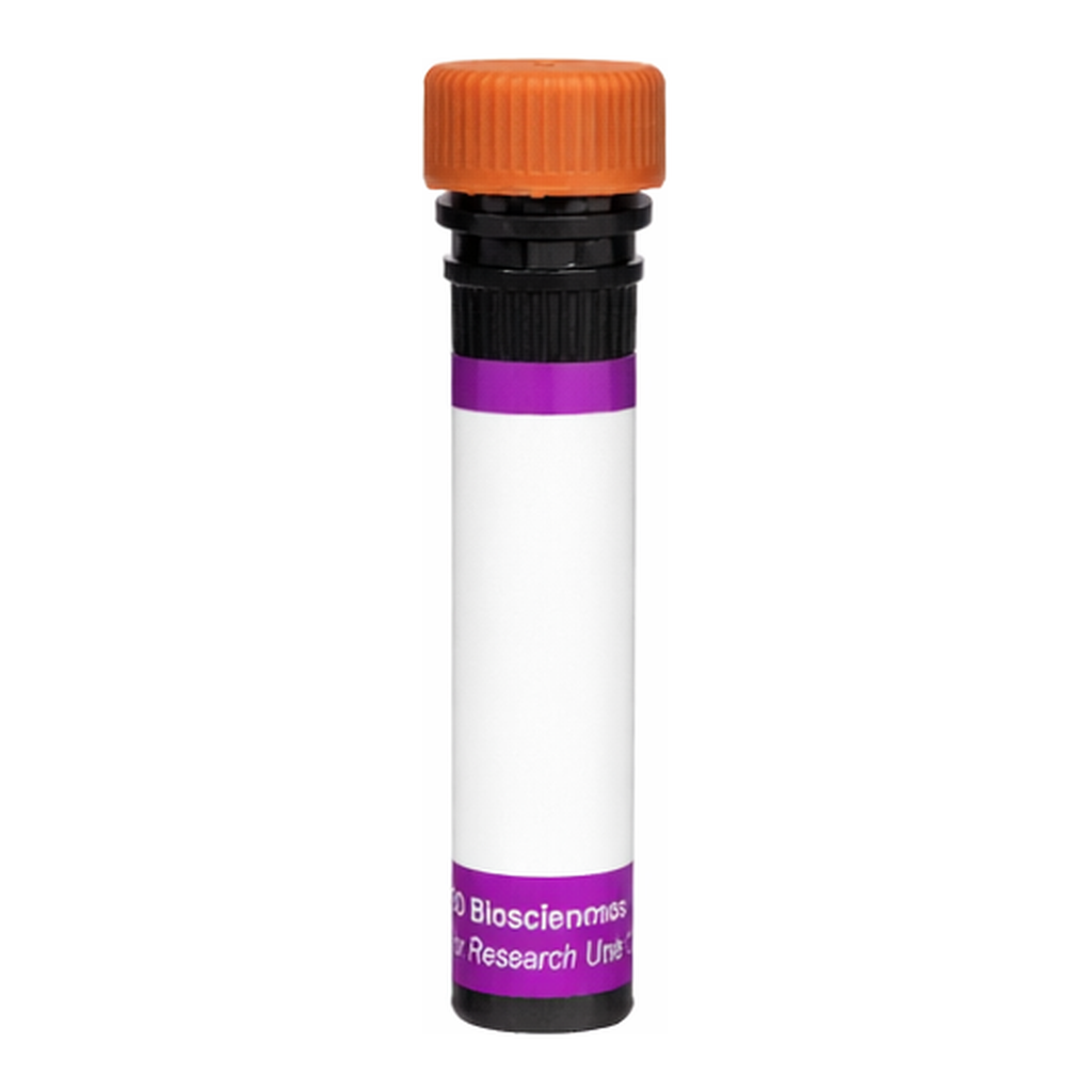 BD BV605 Mouse Anti-Human Desmoglein 2