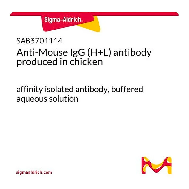 Merck Anti-Mouse IgG (H+L) antibody produced in chicken