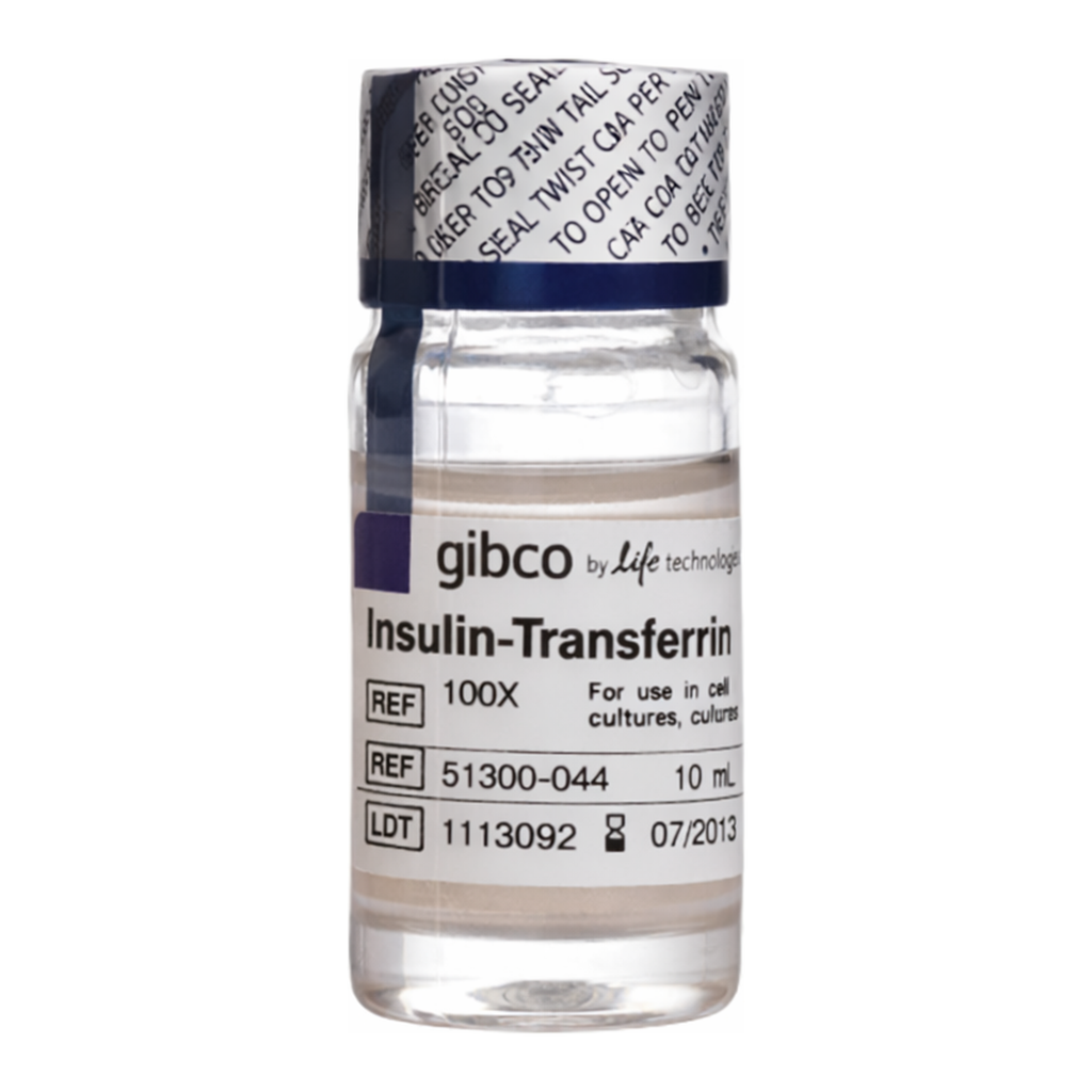 Thermo Fisher Scientific Insulin-Transferrin-Selenium-Sodium Pyruvate (ITS-A) (100X)