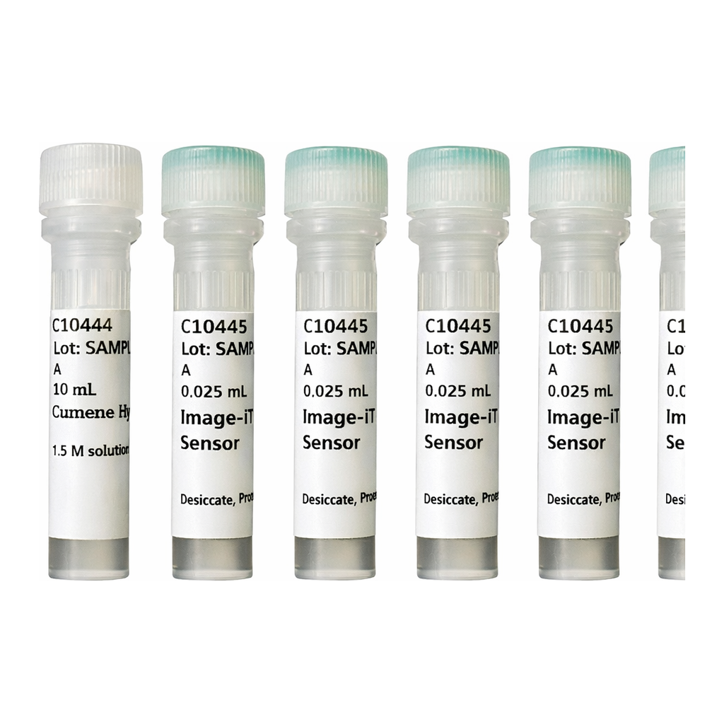 Thermo Fisher Scientific Image-iT Lipid Peroxidation Kit, for live cell analysis