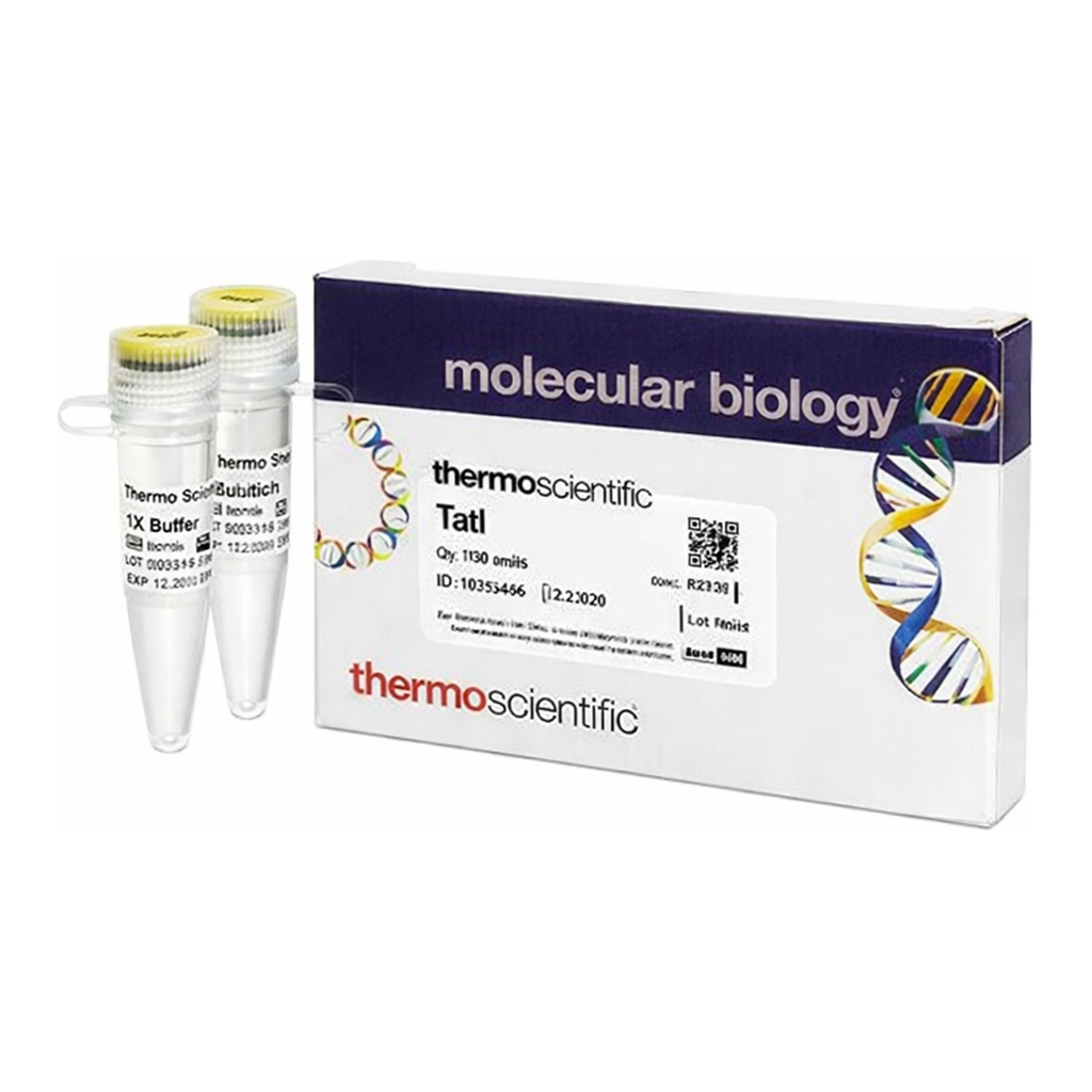 Thermo Fisher Scientific TatI (5 U/&mu;L)