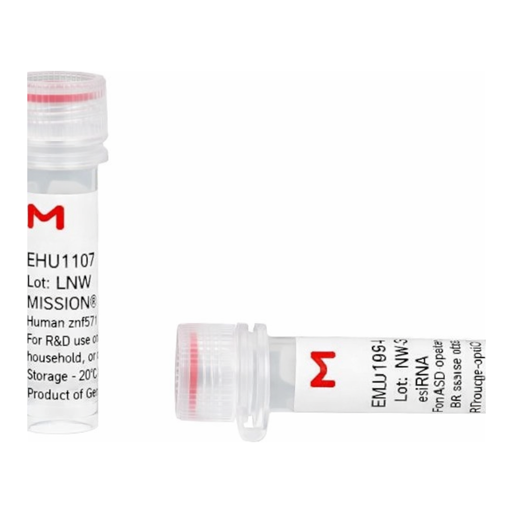 Merck MISSION(R) esiRNA