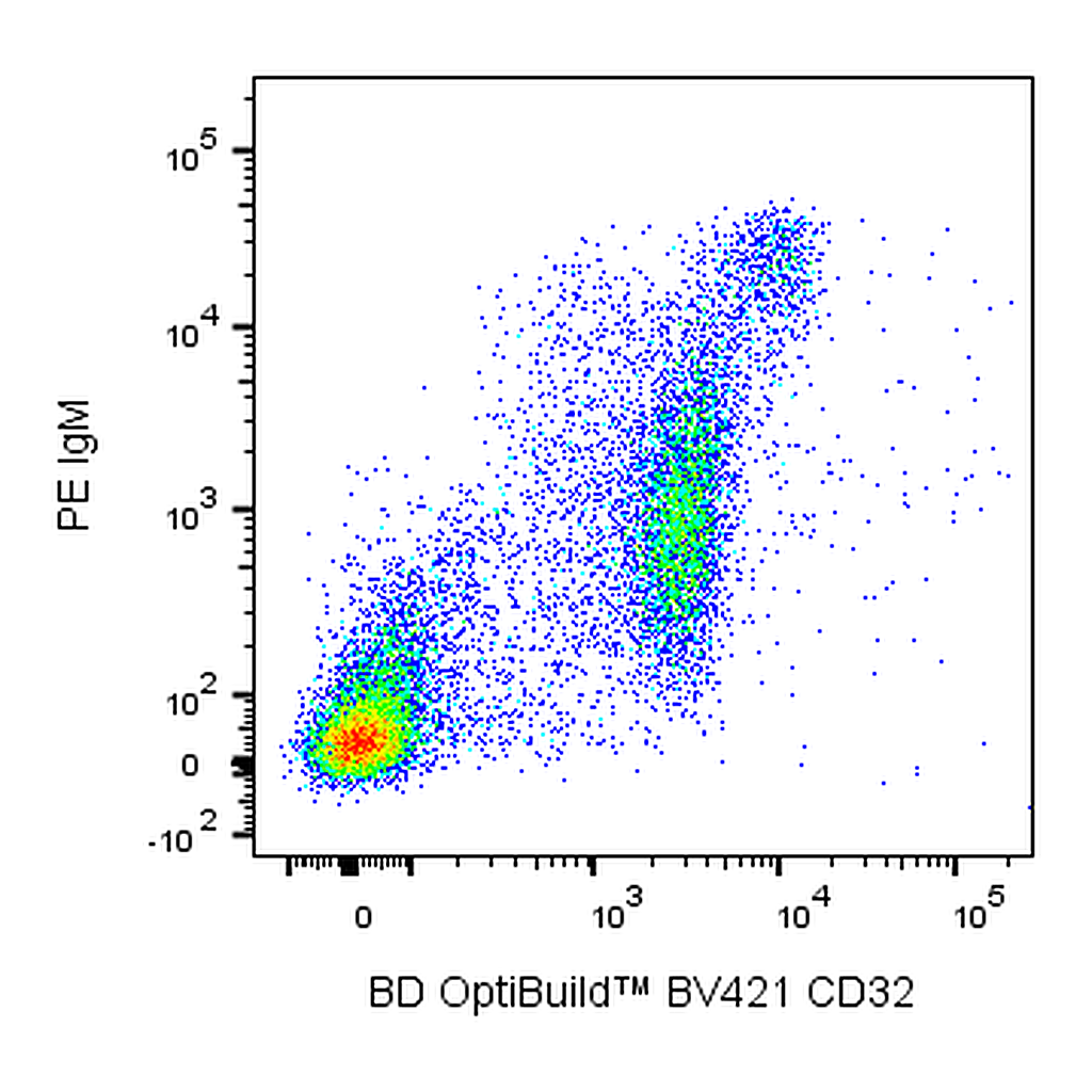 BD BV421 Mouse Anti-Rat CD32