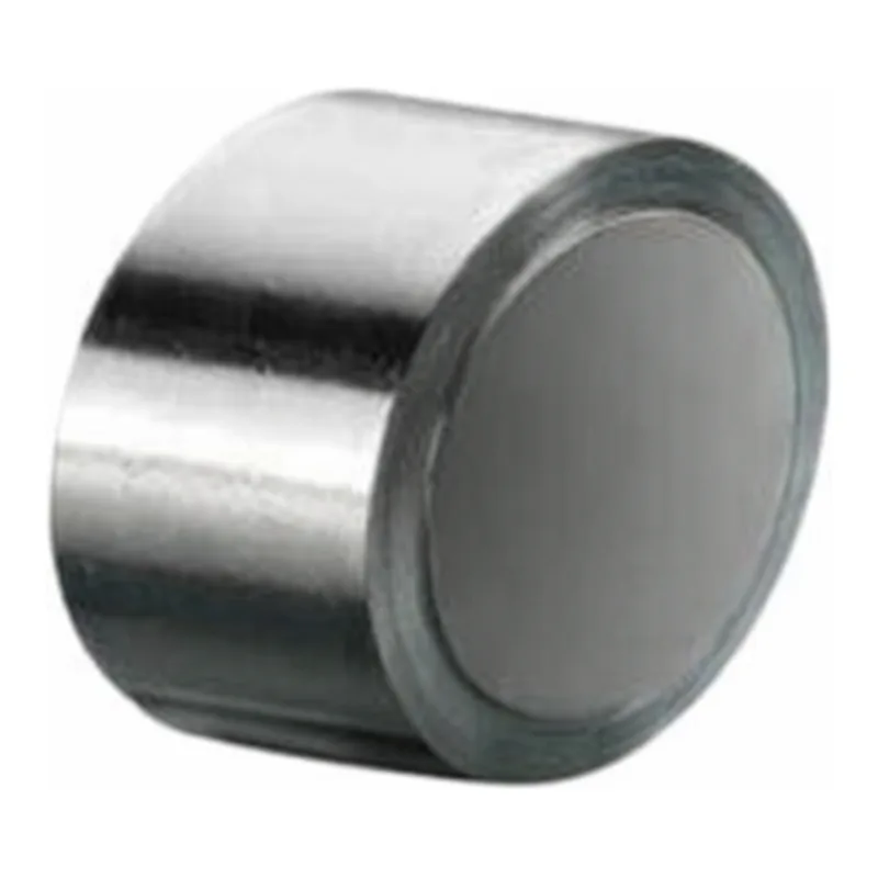 Waters Atlantis dC18 Prep Guard Cartridge, 100Å, 5 µm, 19 mm X 10 mm, 1/pk