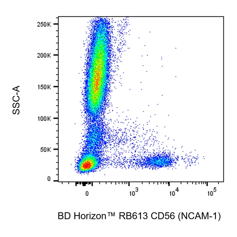 BD RB613 Mouse Anti-Human CD56 (NCAM-1)