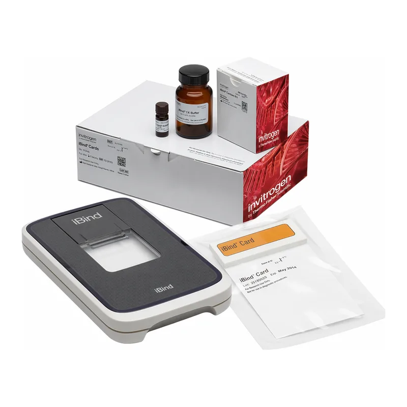 Thermo Fisher Scientific iBind Western Starter Kit, fluorescent detection