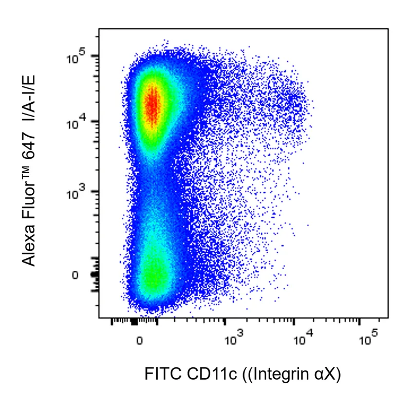 BD FITC Armenian Hamster Anti-Mouse CD11c (Integrin αX)