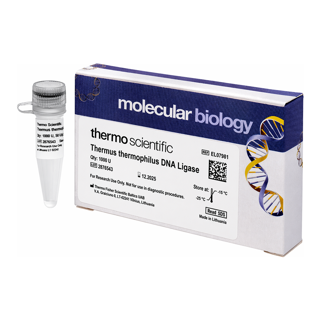 Thermo Fisher Scientific Thermus thermophilus DNA Ligase