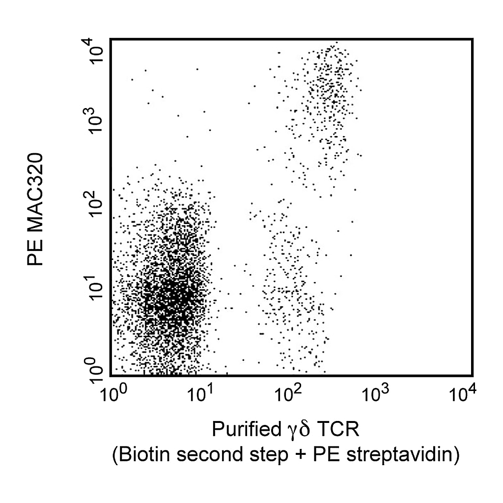 BD Purified Rat Anti-Pig γδ T Lymphocytes