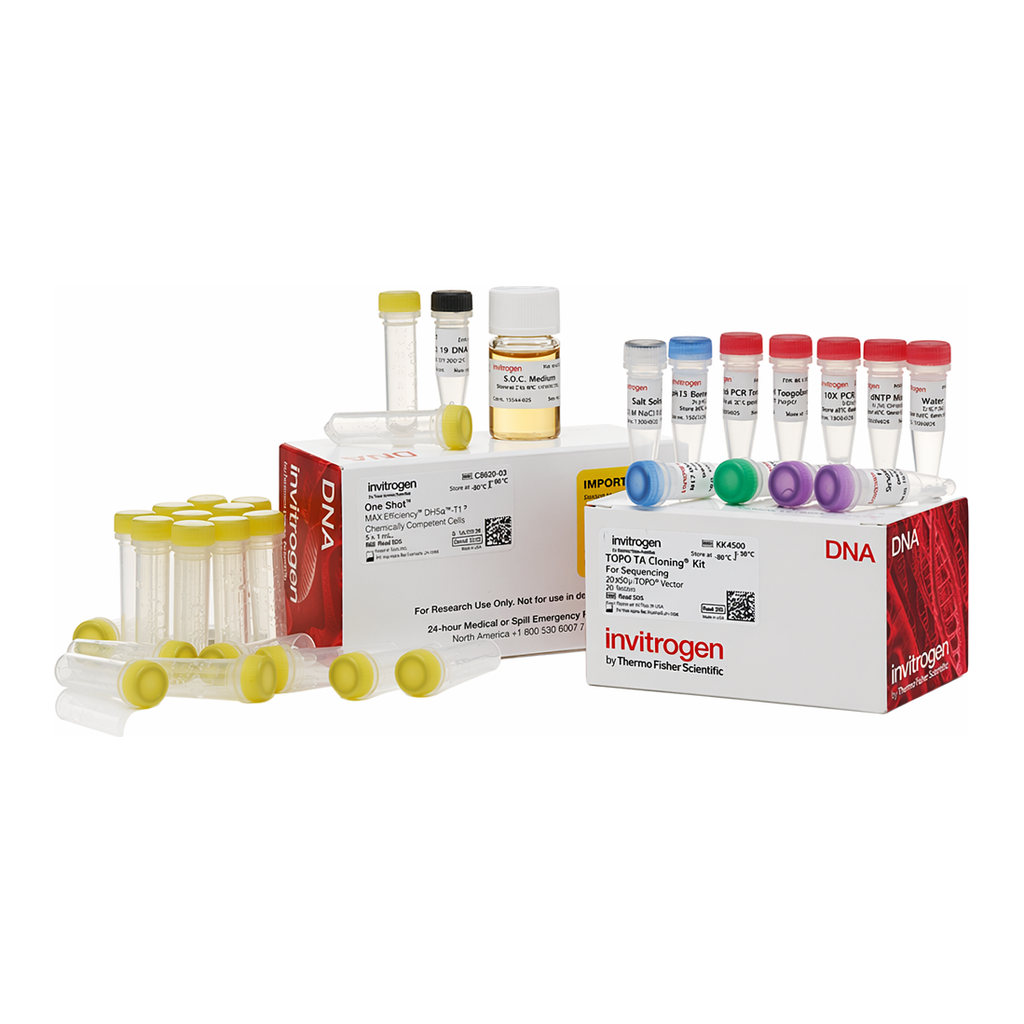 Thermo Fisher Scientific TOPO TA Cloning Kit for Sequencing, with One Shot MAX Efficiency DH5α-T1<sup>R</sup> E. coli, 25 Reactions