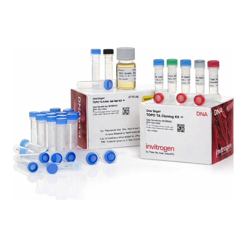 Thermo Fisher Scientific TOPO TA Cloning Kit, Dual Promoter, with pCRII-TOPO Vector and One Shot TOP10F` Chemically Competent E. coli, 25 Reactions