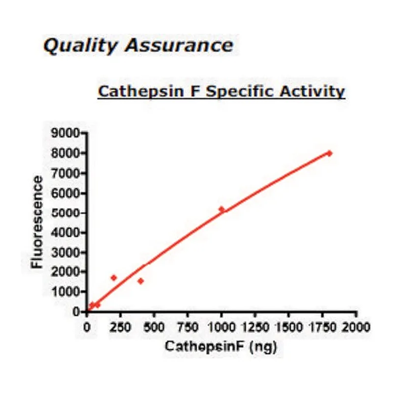 Merck Cathepsin F Active human