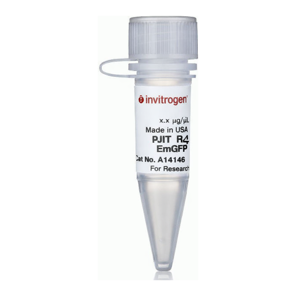 Thermo Fisher Scientific pJTI R4 Exp CMV EmGFP pA Vector