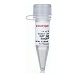 Thermo Fisher Scientific pJTI R4 Exp CMV EmGFP pA Vector