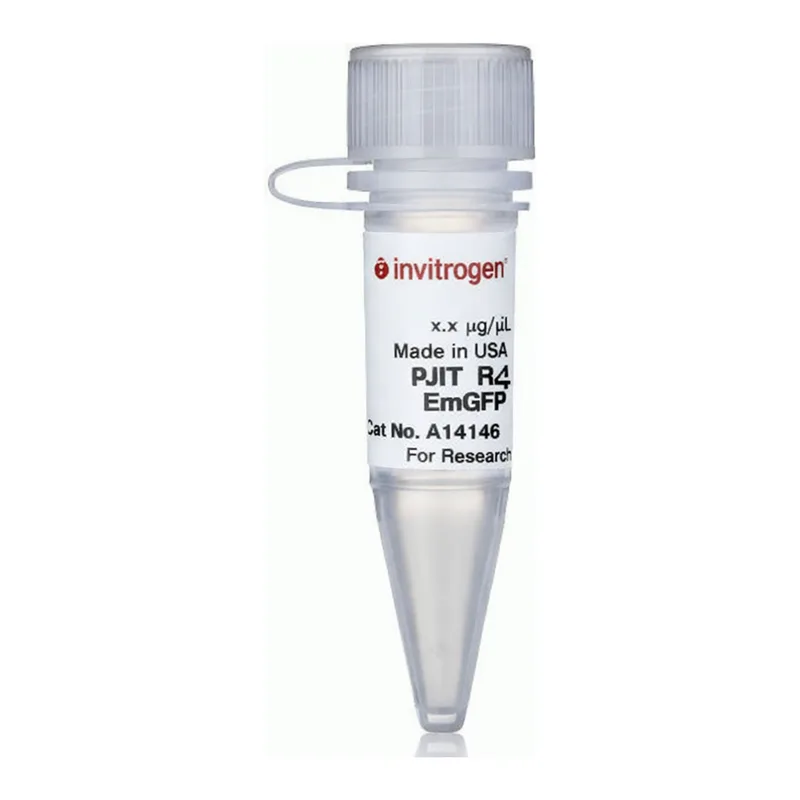 Thermo Fisher Scientific pJTI R4 Exp CMV EmGFP pA Vector