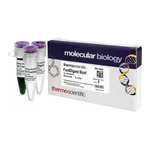 Thermo Fisher Scientific FastDigest BcnI