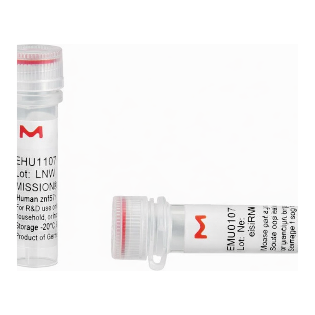 Merck MISSION(R) esiRNA