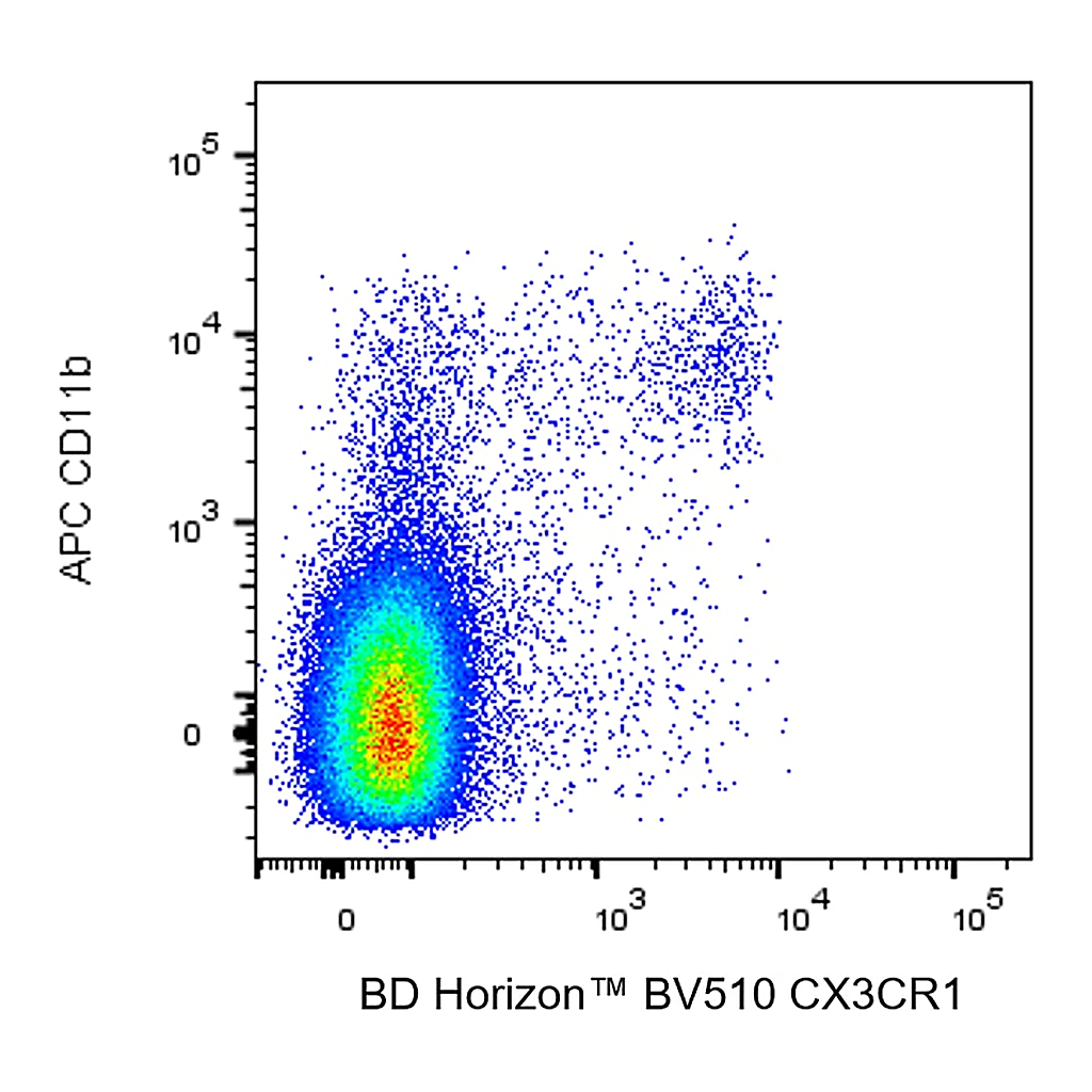 BD BV510 Rat Anti-Mouse CX3CR1
