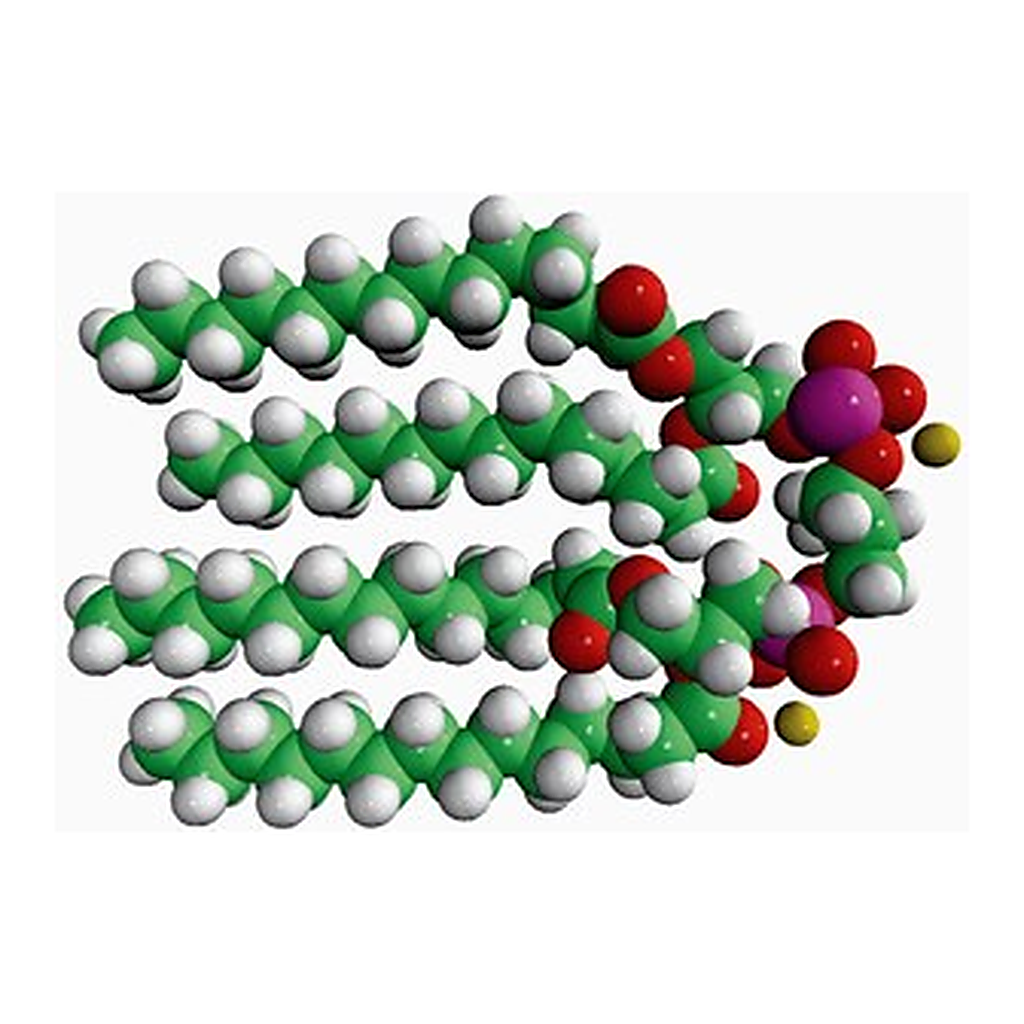 Merck 14:0 CARDIOLIPIN (SODIUM SALT)