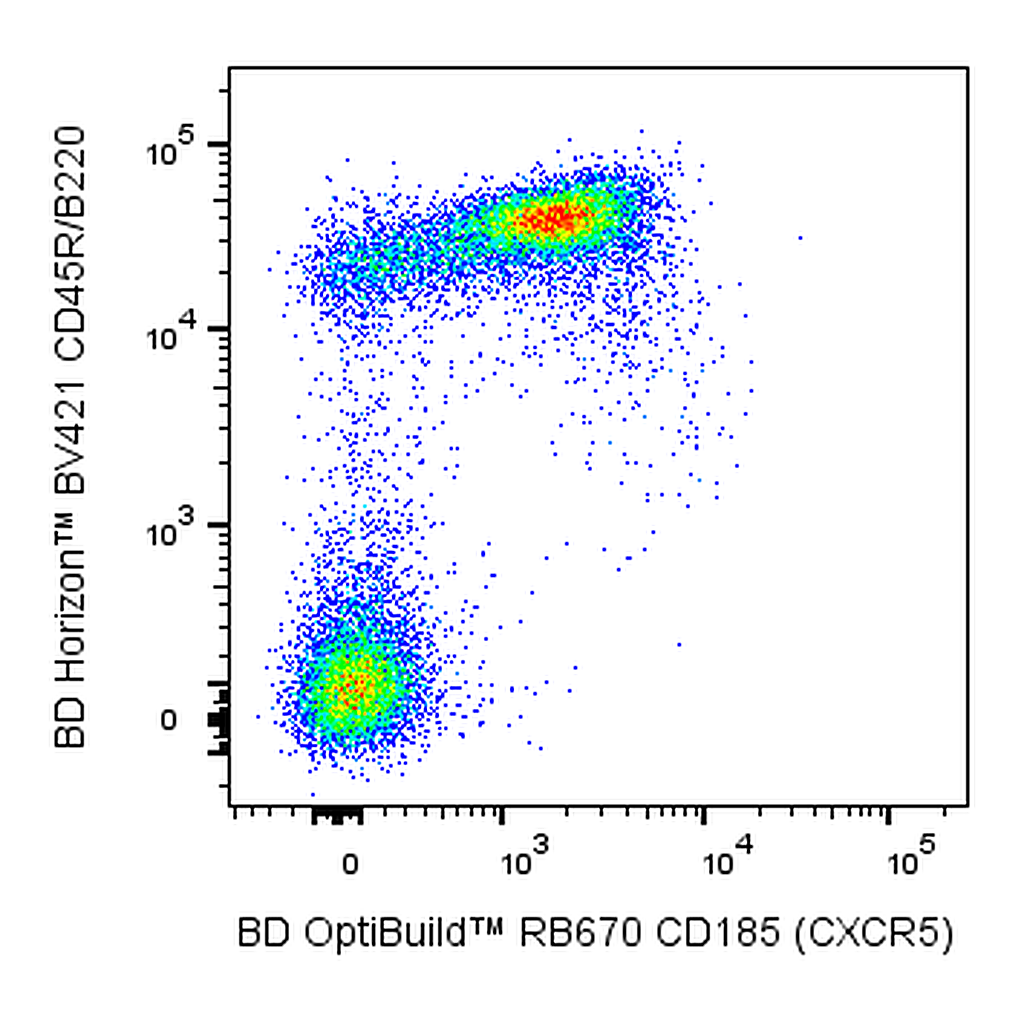BD RB670 Rat Anti-Mouse CD185 (CXCR5)