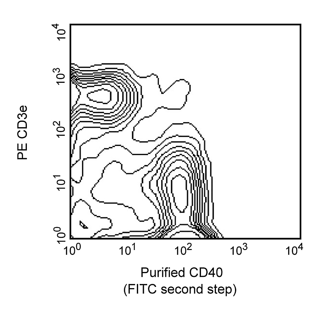 BD Purified Rat Anti-Mouse CD40
