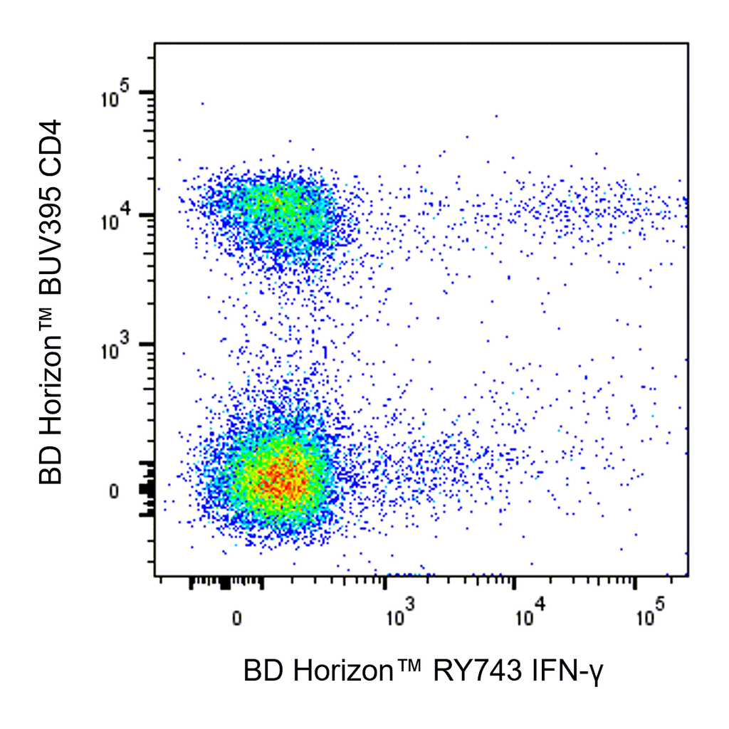 BD RY743 Rat Anti-Mouse IFN-γ