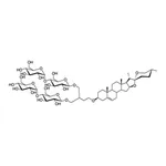 Merck GDN