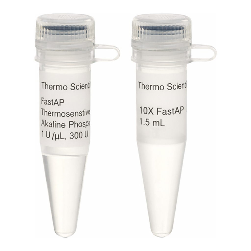 Thermo Fisher Scientific FastAP Thermosensitive Alkaline Phosphatase (1 U/μL), 1,000 units