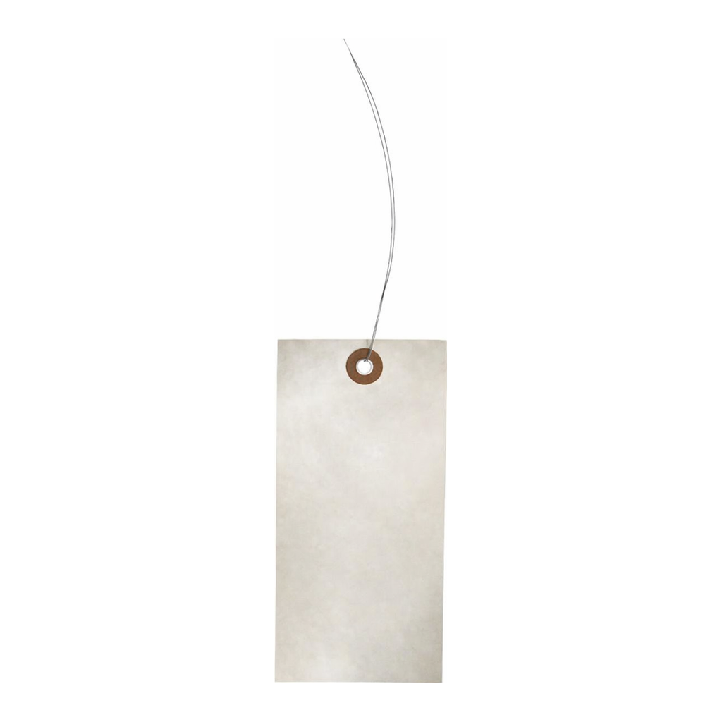 Brady Blank Tags