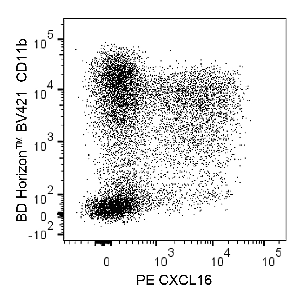 BD PE Rat Anti-Mouse CXCL16