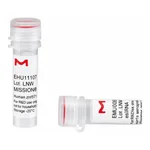 Merck MISSION(R) esiRNA