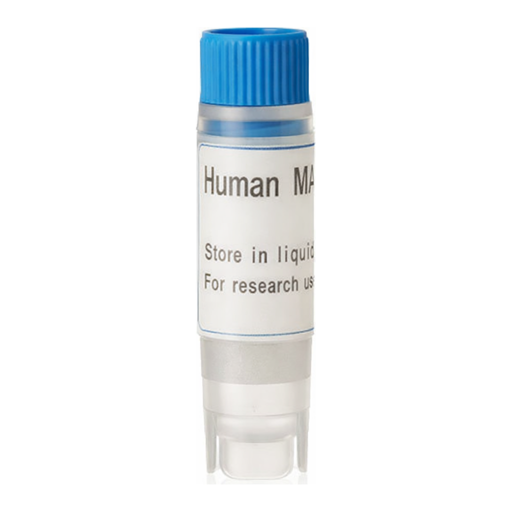 Thermo Fisher Scientific Human MATE2K (G) SLC Transporter Cells