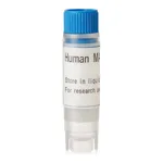 Thermo Fisher Scientific Human MATE2K (G) SLC Transporter Cells