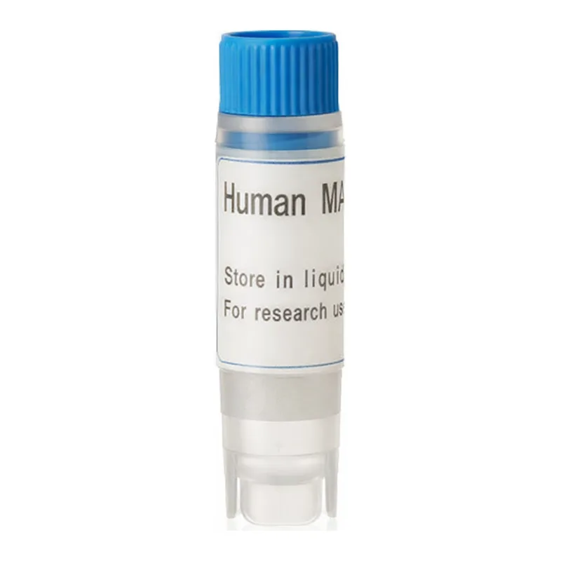 Thermo Fisher Scientific Human MATE2K (G) SLC Transporter Cells