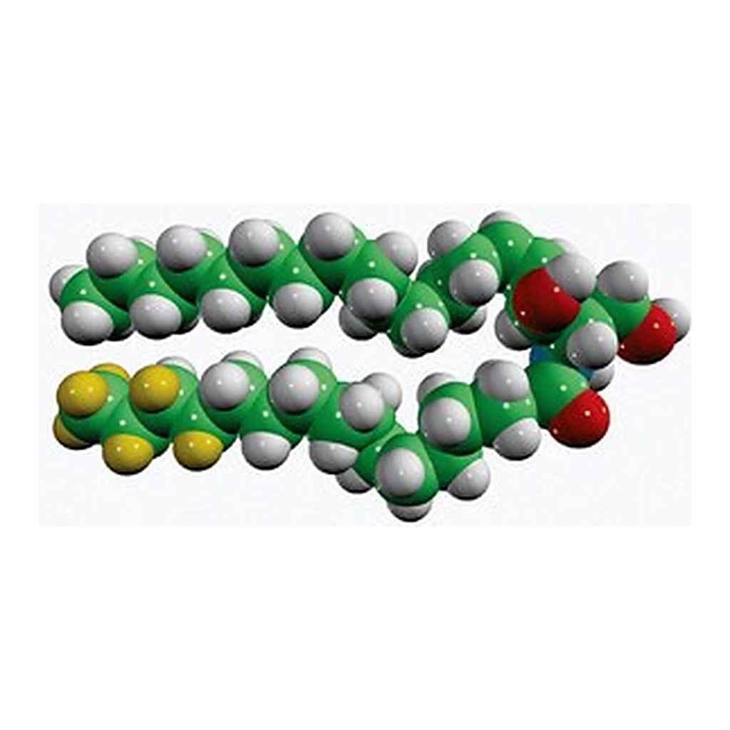Merck CER2(D9)