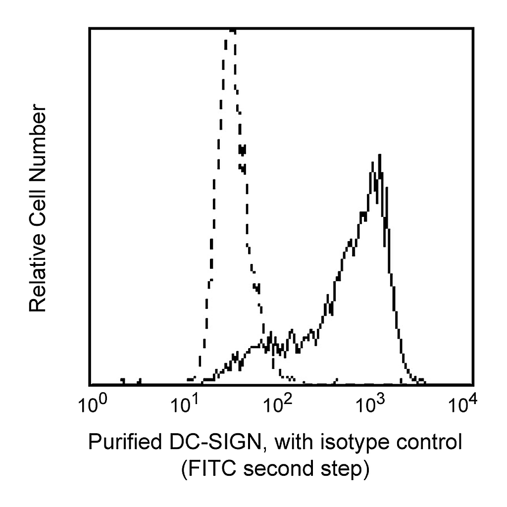 BD Purified Mouse Anti-Human CD209