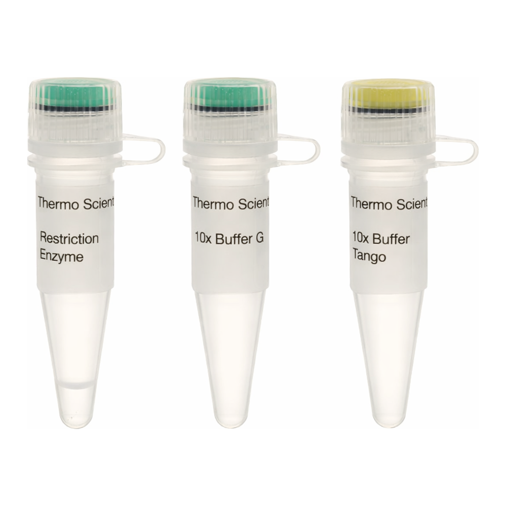 Thermo Fisher Scientific Eco57I (AcuI) (5 U/&mu;L), 200 units
