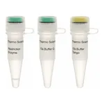 Thermo Fisher Scientific Eco57I (AcuI) (5 U/μL), 200 units