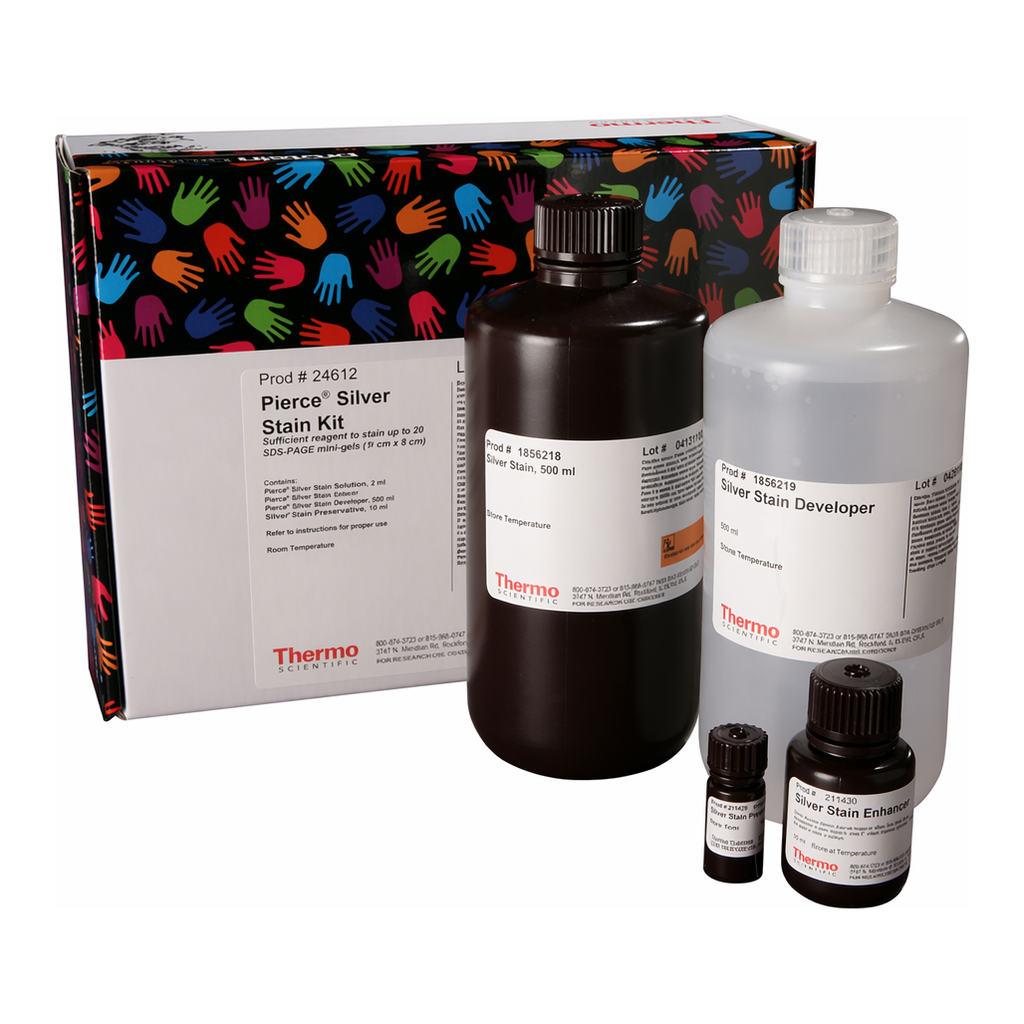 Thermo Fisher Scientific Pierce Silver Stain Kit, 1 L